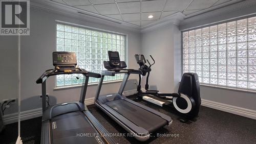 310 - 88 Grandview Way, Toronto, ON - Indoor Photo Showing Gym Room