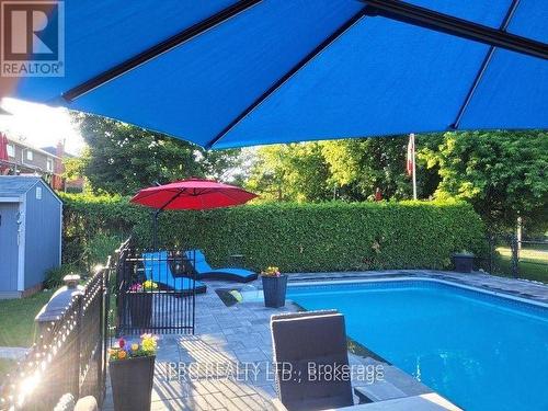 69 Barr Crescent, Brampton, ON - Outdoor With In Ground Pool With Deck Patio Veranda With Backyard