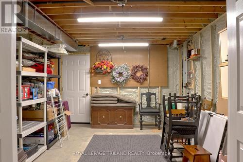 366 White Sands Drive, London, ON - Indoor Photo Showing Basement