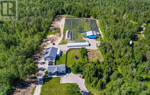 2388 Baseline Road, Georgina (Keswick North), ON - Outdoor With View