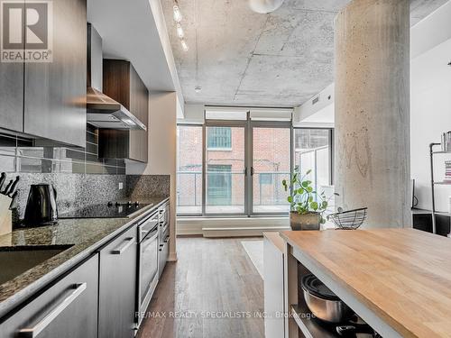 304 - 15 Beverley Street, Toronto (Kensington-Chinatown), ON - Indoor Photo Showing Kitchen With Upgraded Kitchen