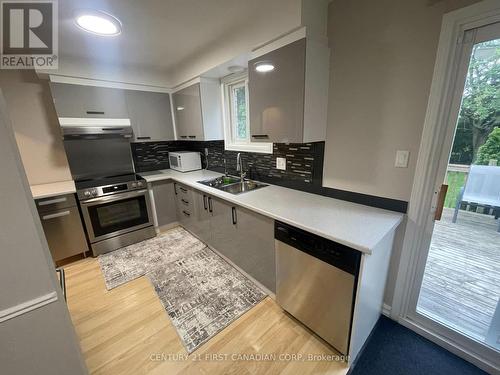 81 Augusta Crescent, London, ON - Indoor Photo Showing Kitchen With Double Sink