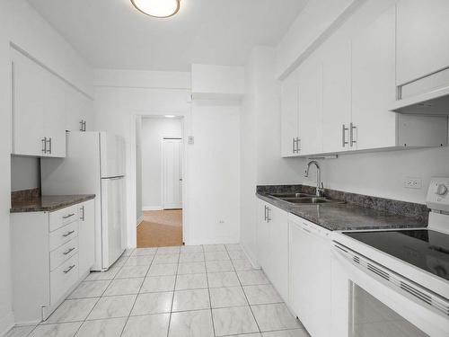 Kitchen - 706-3465 Rue Redpath, Montréal (Ville-Marie), QC - Indoor Photo Showing Kitchen With Double Sink