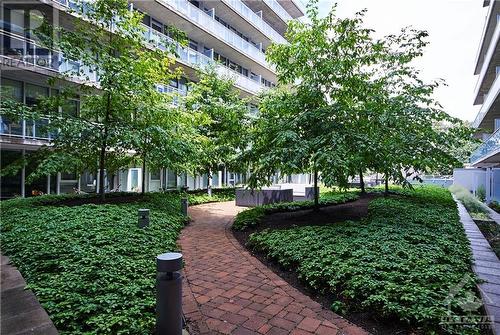 AMENITIES | green 'rooftop' terrace located on 2nd floor - 354 Gladstone Avenue Unit#502, Ottawa, ON 