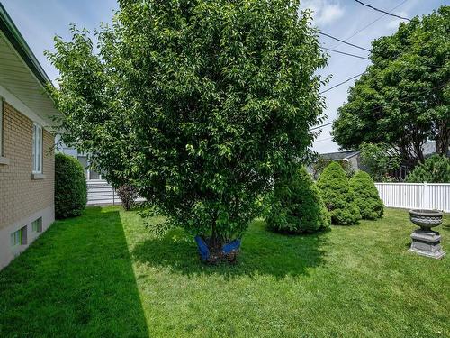 Backyard - 427 Rue Lebeau, Saint-Jean-Sur-Richelieu, QC 