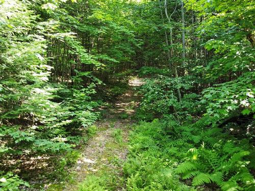 Land/Lot - Mtée Manitonga, Lac-Supérieur, QC 