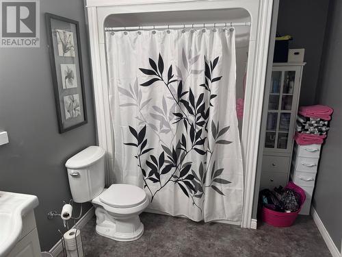 17 Tully Place, Gander, NL - Indoor Photo Showing Bathroom