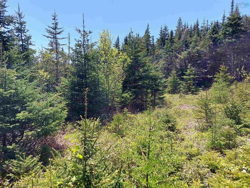 Lot7&8A Dales Lane, Gabarus Lake, NS 