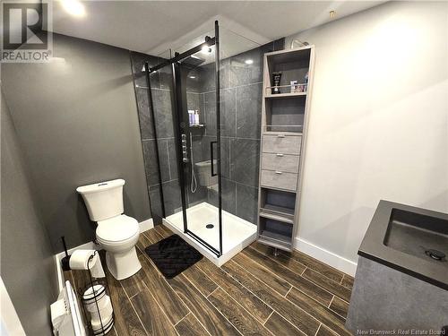 979 Martin Road, Sainte-Anne-De-Madawaska, NB - Indoor Photo Showing Bathroom