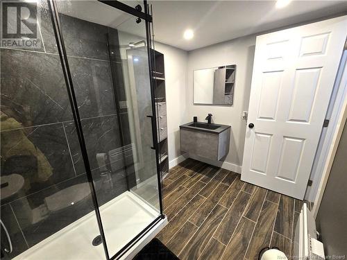 979 Martin Road, Sainte-Anne-De-Madawaska, NB - Indoor Photo Showing Bathroom