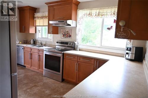 17 Nichols Drive, Blenheim, ON - Indoor Photo Showing Kitchen With Double Sink