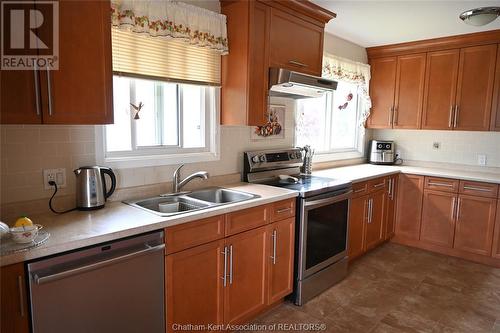 17 Nichols Drive, Blenheim, ON - Indoor Photo Showing Kitchen With Double Sink