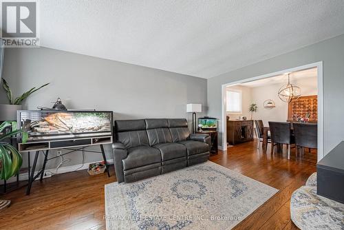 34 Regis Court, Hamilton, ON - Indoor Photo Showing Living Room