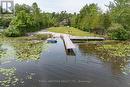 5225 Rice Lake Drive N, Hamilton Township (Bewdley), ON 