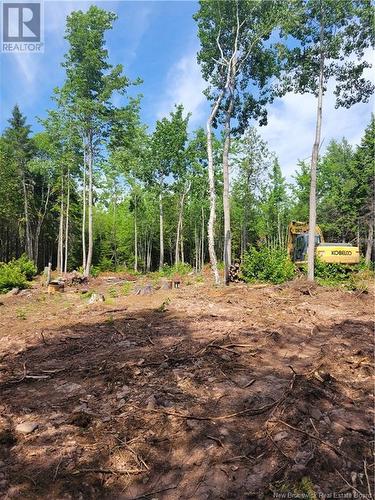 Lot 2022-2 Route 105, Mill Cove, NB 