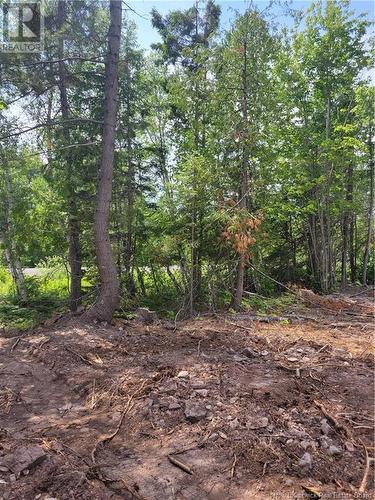 Lot 2022-2 Route 105, Mill Cove, NB 