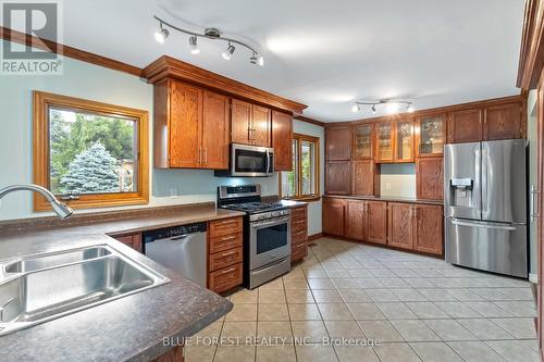 726 St Stephens Drive, London, ON - Indoor Photo Showing Kitchen With Double Sink