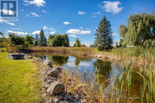 24185 Kennedy Road, Georgina (Belhaven), ON - Outdoor With View