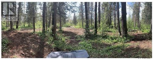 Lot 12 Con 6 Maclean Dr|Lot 12 Con 6 Tisdale, Timmins, ON 