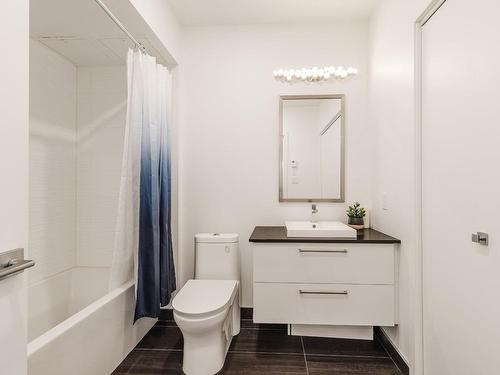 Salle de bains - 304-4570 Rue St-Denis, Montréal (Le Plateau-Mont-Royal), QC - Indoor Photo Showing Bathroom
