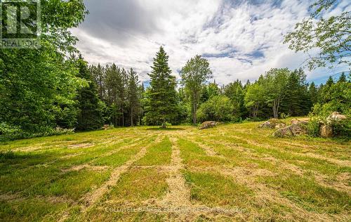 1609 County Rd 504, North Kawartha, ON 