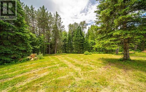 1609 County Rd 504, North Kawartha, ON 