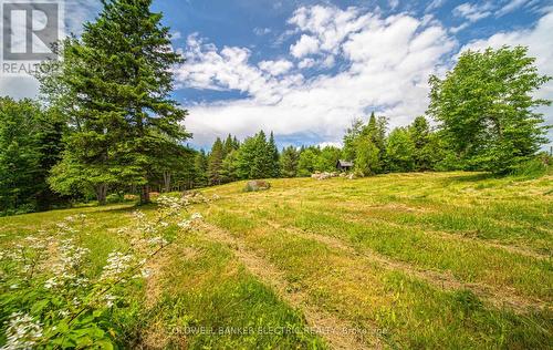 1609 County Rd 504, North Kawartha, ON 