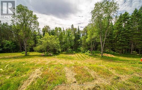 1609 County Rd 504, North Kawartha, ON 