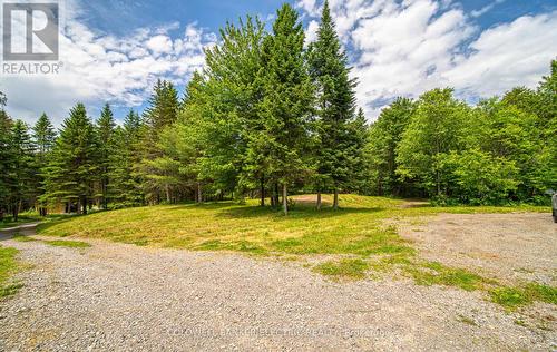 1609 County Rd 504, North Kawartha, ON 