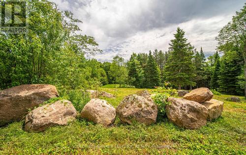 1609 County Rd 504, North Kawartha, ON 