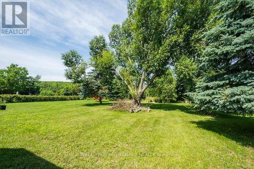 262 South Trent Street, Quinte West, ON - Outdoor