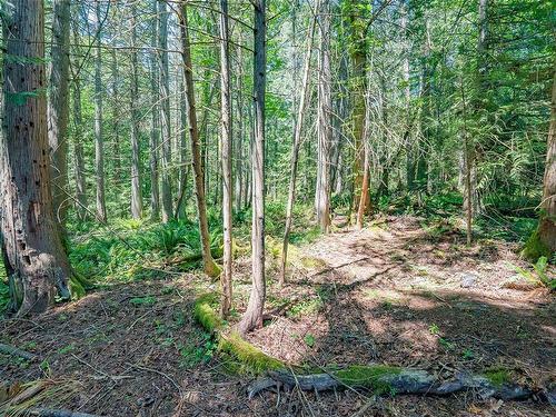 795/797/799 Dogwood Rd, Nanaimo, BC - Outdoor