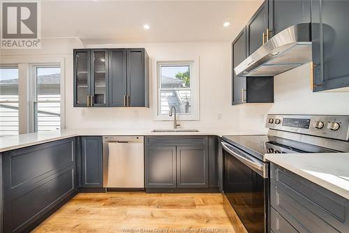 1060 Elm, Windsor, ON - Indoor Photo Showing Kitchen With Upgraded Kitchen