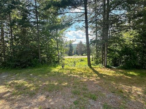Backyard - 2711  - 2765 Route 155 S., La Tuque, QC - Outdoor With View