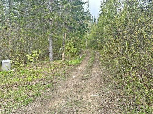 Pcl 26819 Purdom Lake, Nipigon, ON - Outdoor