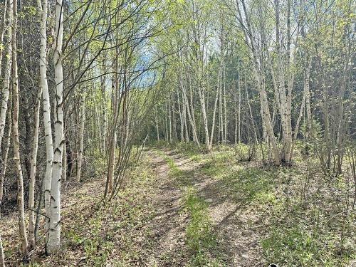 Pcl 26819 Purdom Lake, Nipigon, ON - Outdoor With View