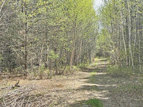 Pcl 26819 Purdom Lake, Nipigon, ON - Outdoor With View