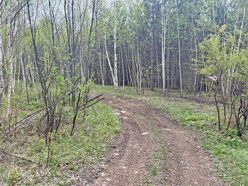 Pcl 26819 Purdom Lake, Nipigon, ON - Outdoor With View