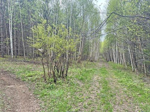 Pcl 26819 Purdom Lake, Nipigon, ON - Outdoor With View