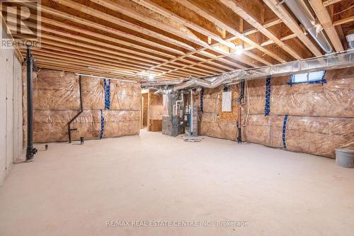 123 Freedom Crescent, Hamilton, ON - Indoor Photo Showing Basement