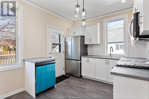 215 Curry Avenue, Windsor, ON - Indoor Photo Showing Kitchen With Double Sink