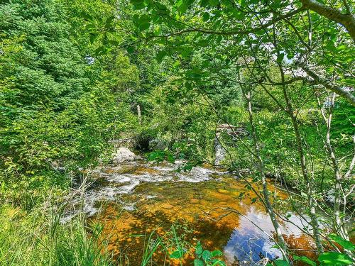 Bord de l'eau - 1870 Mtée Du 2E Rang, Val-David, QC - Outdoor