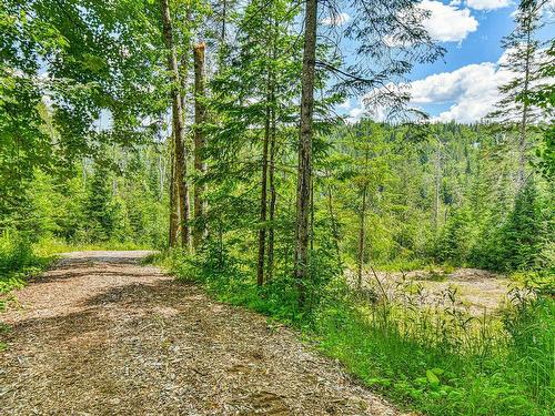 Land/Lot - 1870 Mtée Du 2E Rang, Val-David, QC - Outdoor