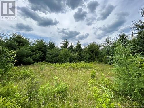 9.6 Acres Auburnville Road, Bay Du Vin, NB 