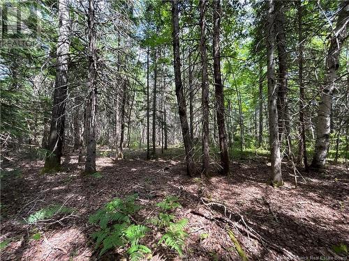 9.6 Acres Auburnville Road, Bay Du Vin, NB 