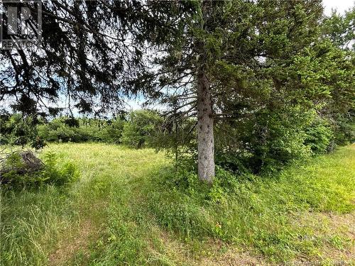 9.6 Acres Auburnville Road, Bay Du Vin, NB 