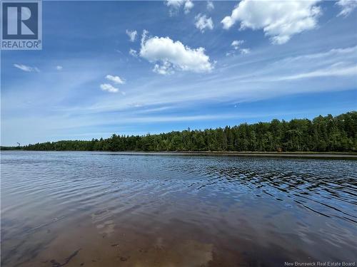 9.6 Acres Auburnville Road, Bay Du Vin, NB 