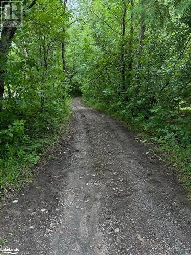 Road to beach - Lot 70 25Th Line, Carnarvon, ON 