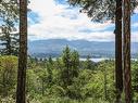 1157 Pickles Rd, Denman Island, BC 