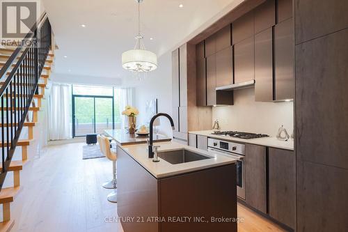9 - 455 Dovercourt Road, Toronto, ON - Indoor Photo Showing Kitchen With Upgraded Kitchen